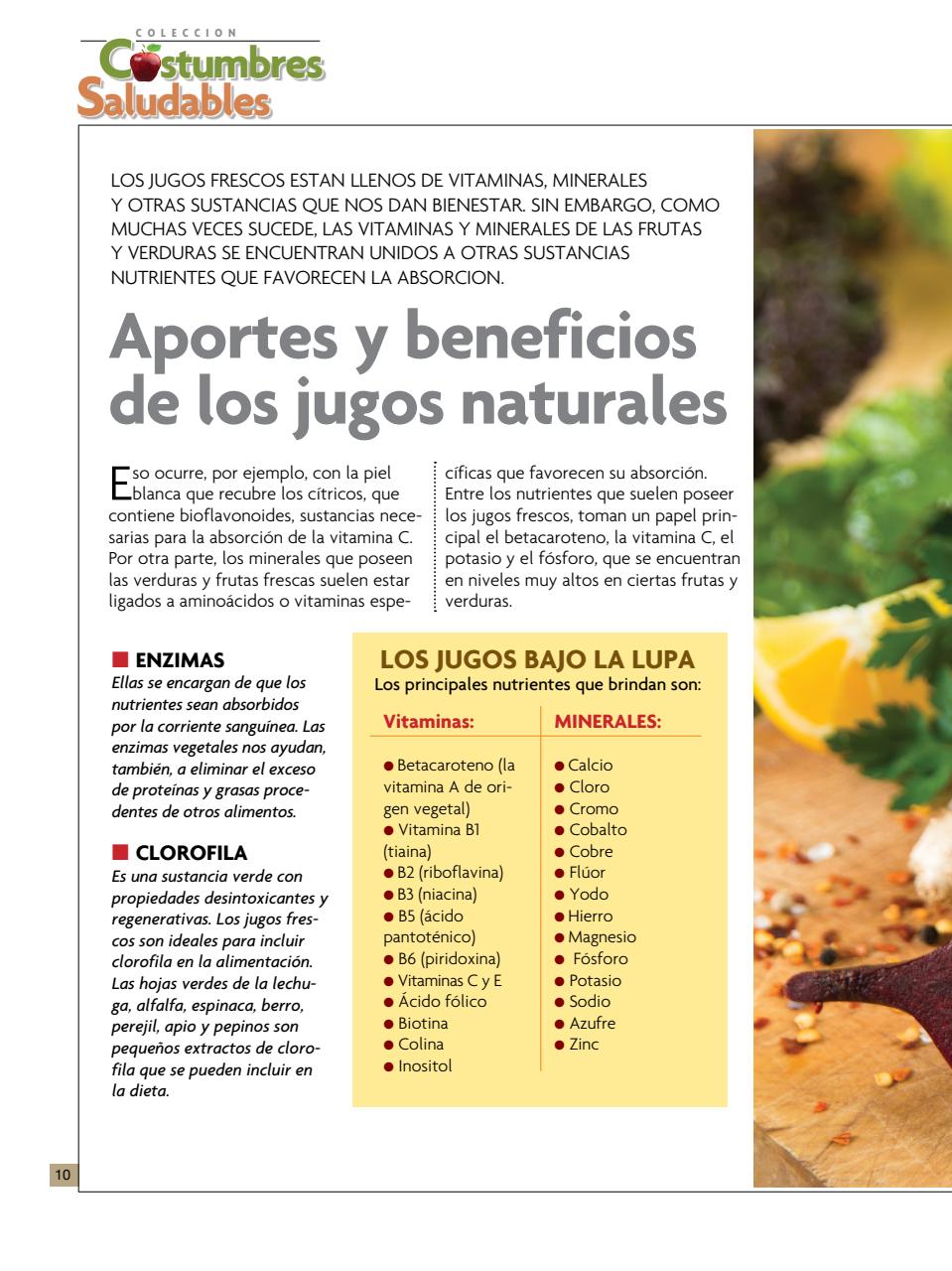 Costumbres Saludables  Preview Pages