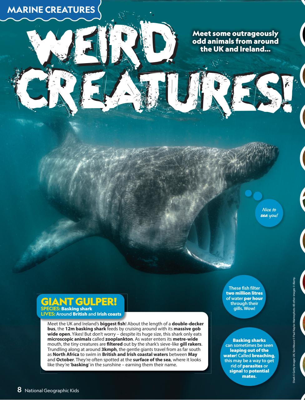 National Geographic Kids Preview Pages
