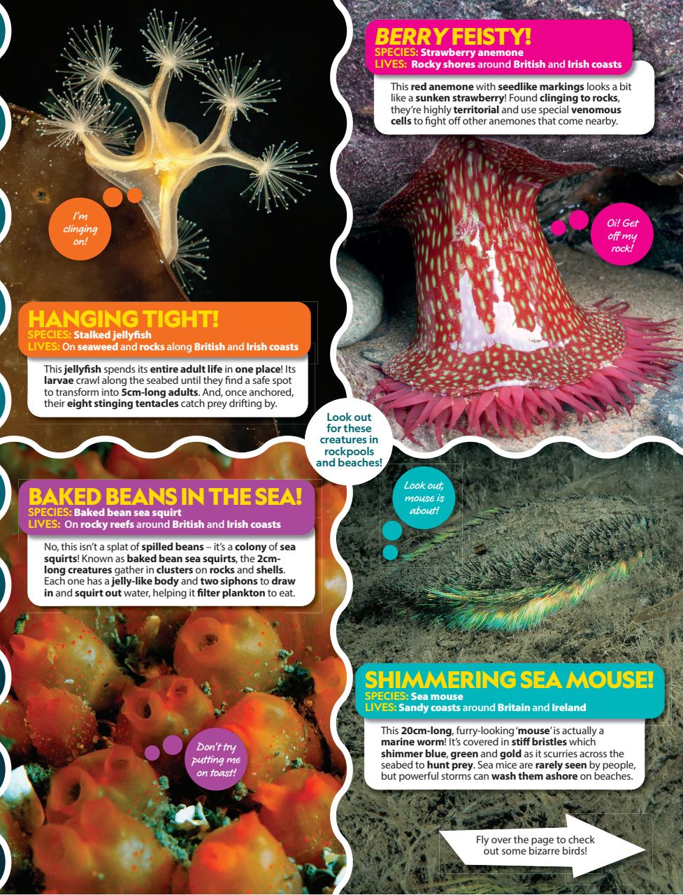 National Geographic Kids Preview Pages