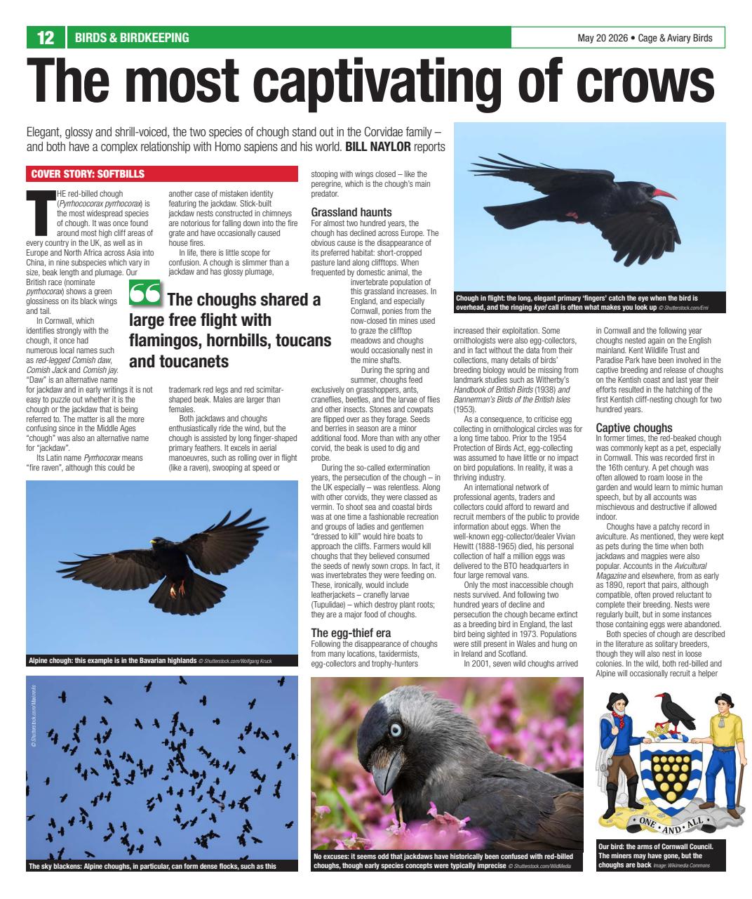 Cage & Aviary Birds Preview Pages