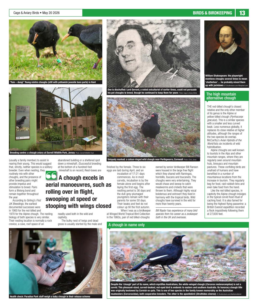 Cage & Aviary Birds Preview Pages