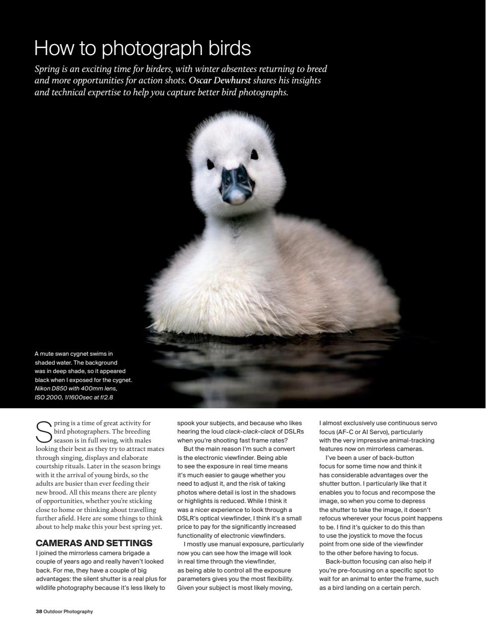 Outdoor Photography Preview Pages