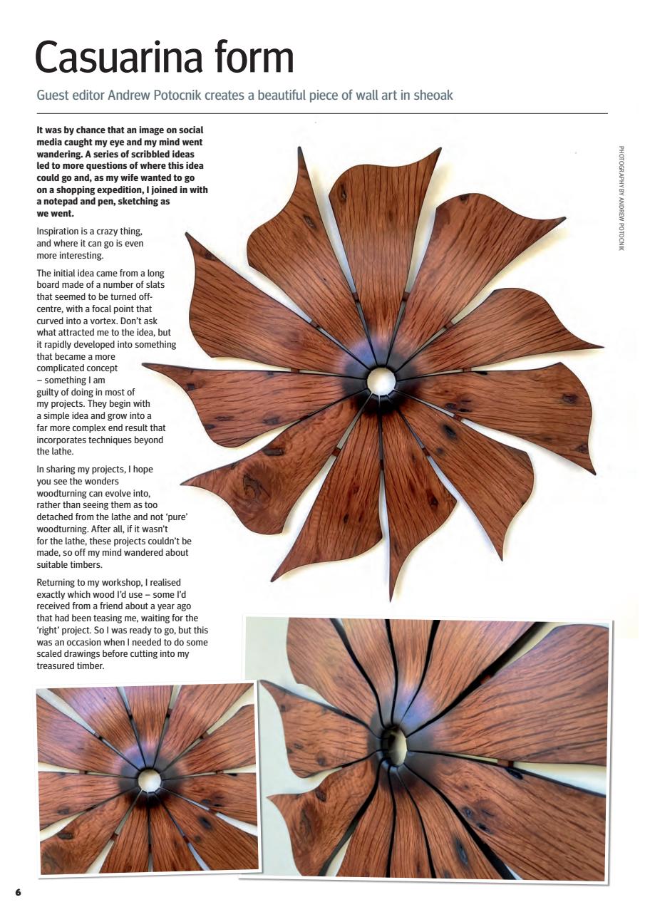 Woodturning Preview Pages
