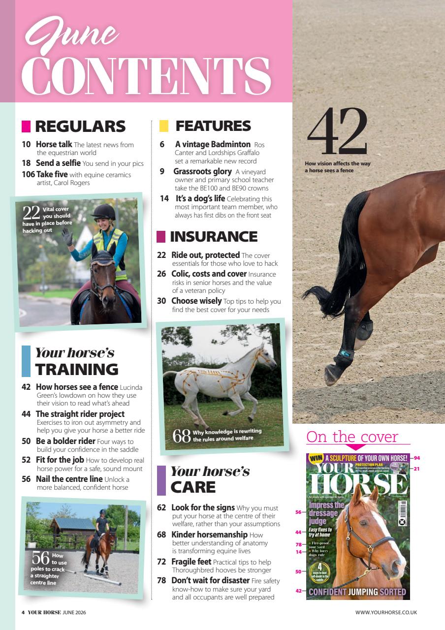 Your Horse Preview Pages