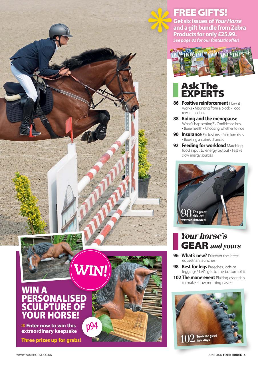 Your Horse Preview Pages