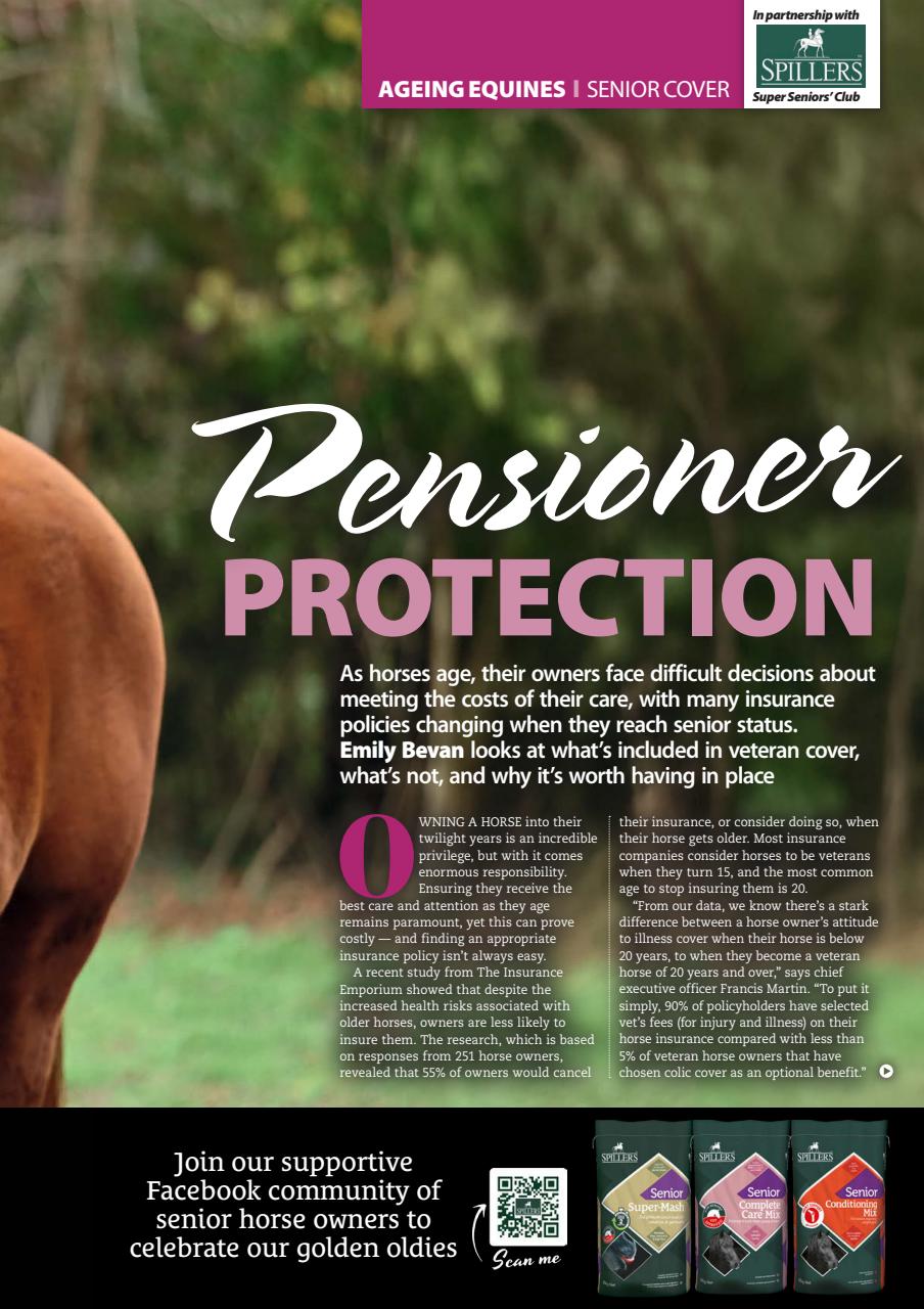 Your Horse Preview Pages