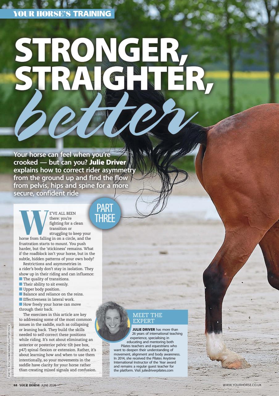 Your Horse Preview Pages