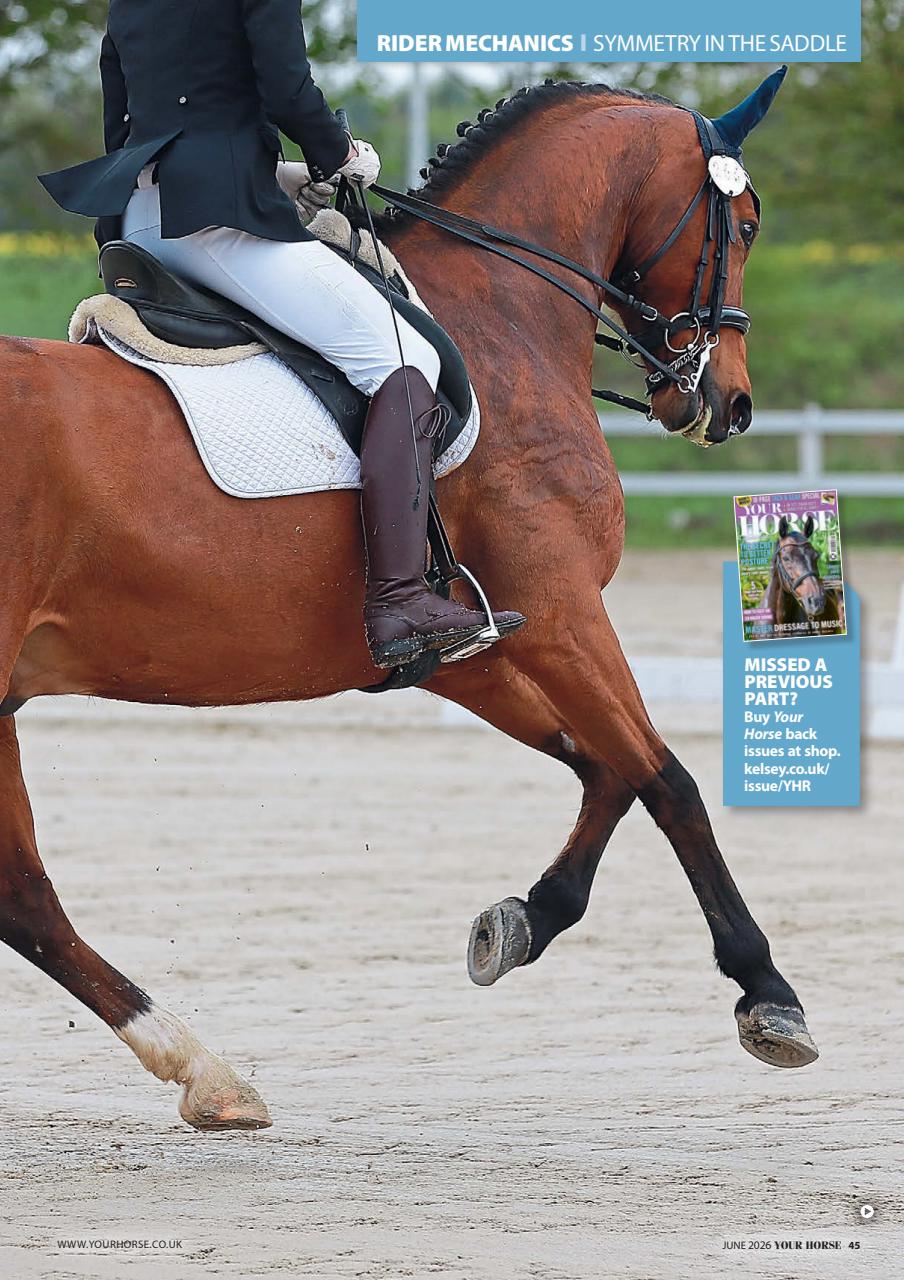 Your Horse Preview Pages