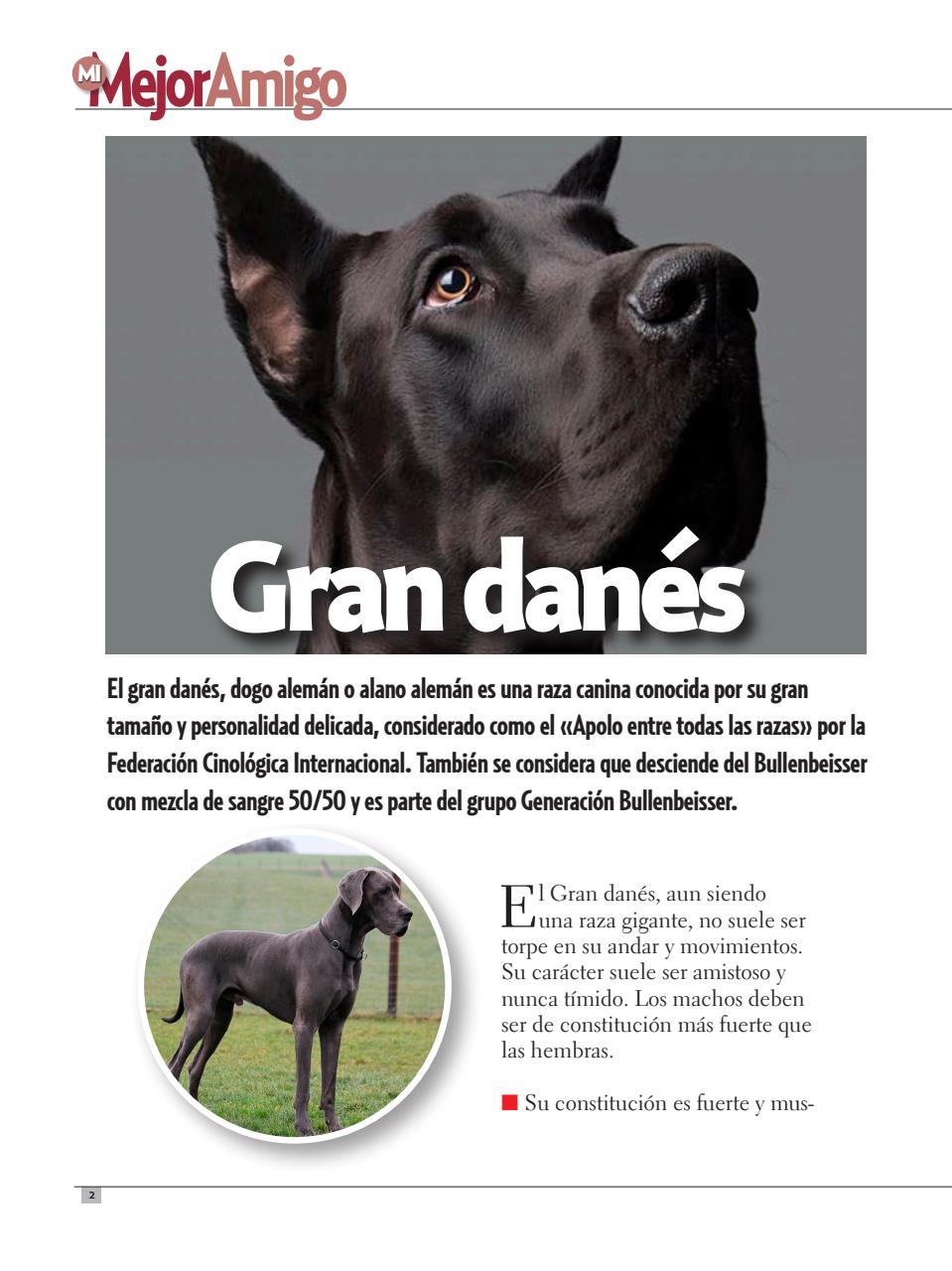 Razas Caninas Preview Pages