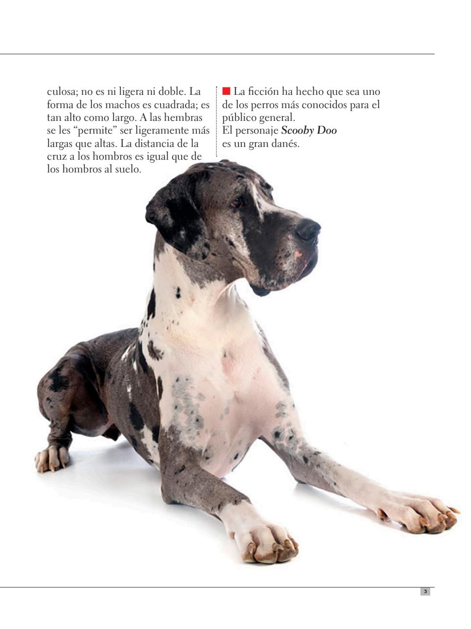 Razas Caninas Preview Pages