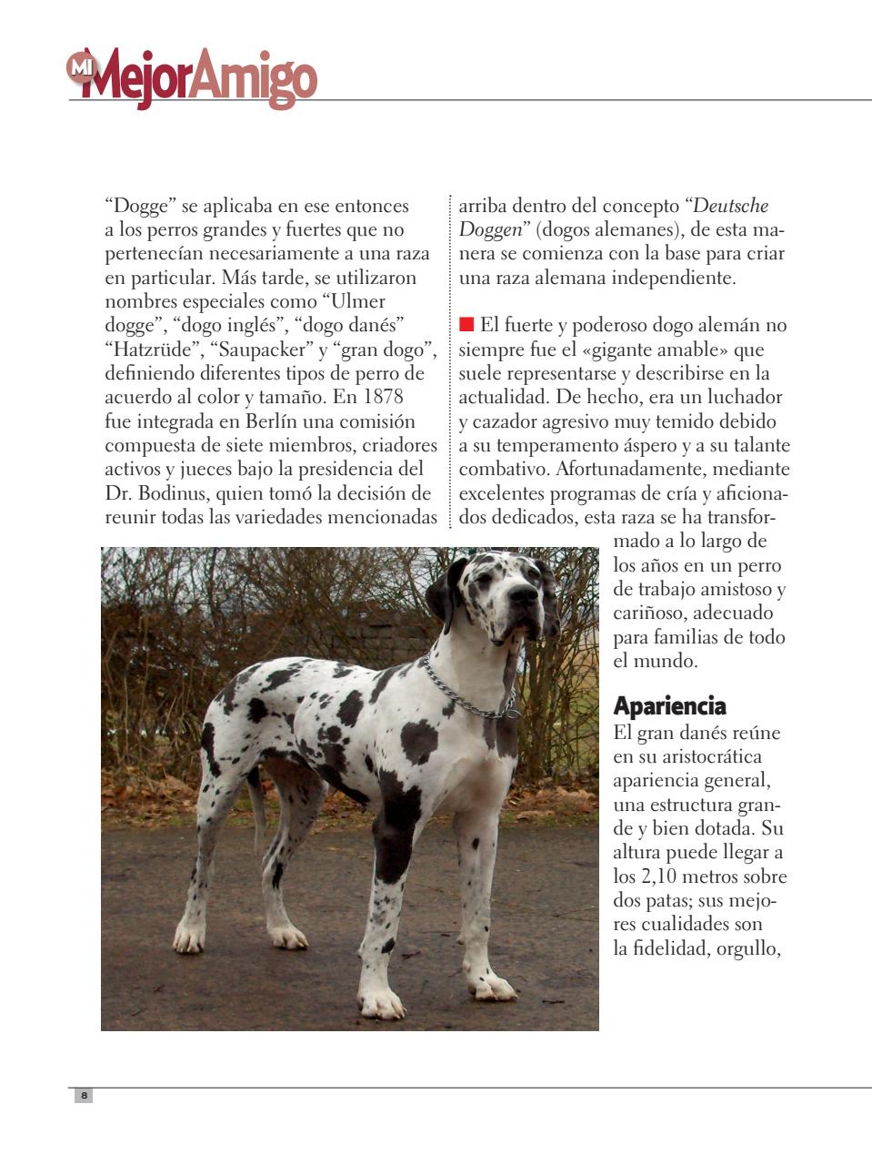 Razas Caninas Preview Pages