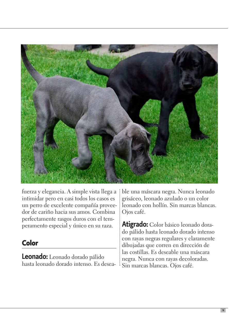 Razas Caninas Preview Pages
