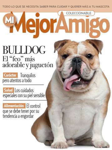 Fasciculo 1 2026 issue Fasciculo 1 2026