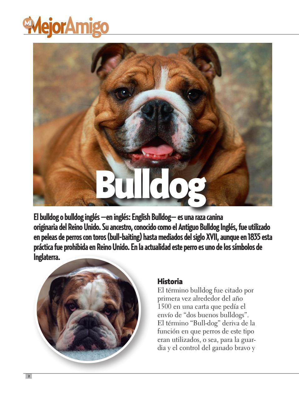 Razas Caninas Preview Pages