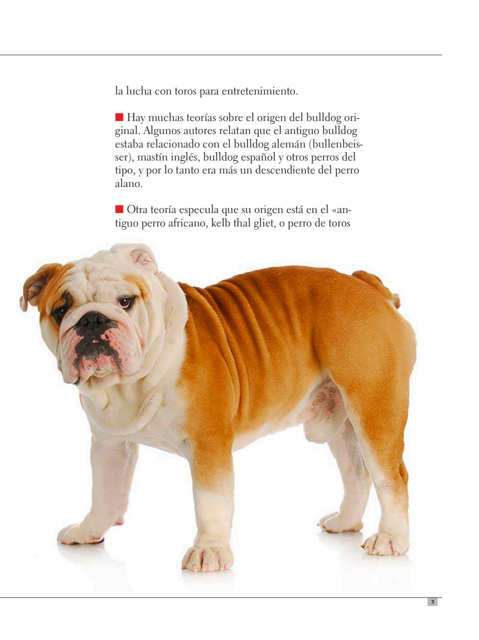 Razas Caninas Preview Pages