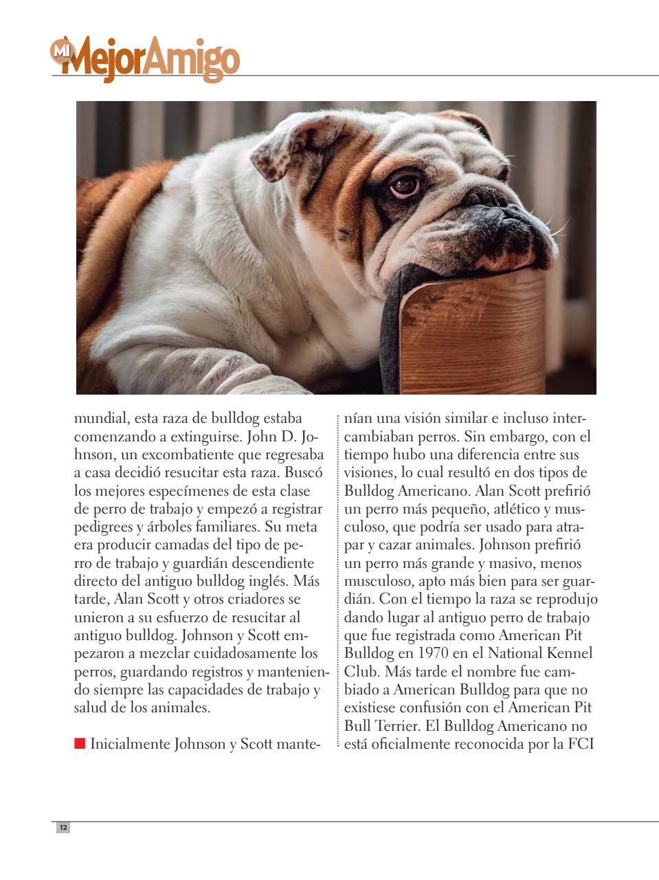 Razas Caninas Preview Pages
