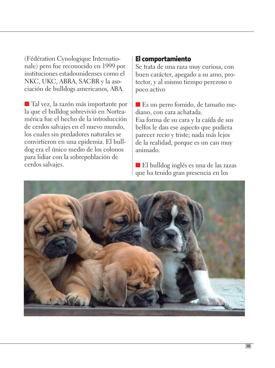 Razas Caninas Preview Pages