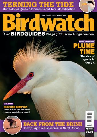 Birdwatch Magazine issue June 2026
