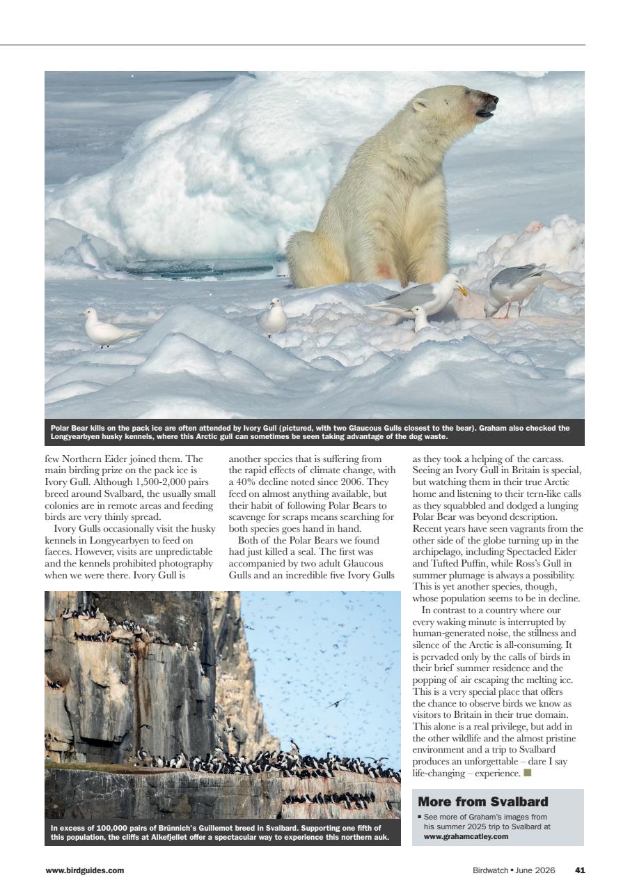 Birdwatch Magazine Preview Pages