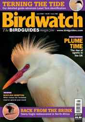 Birdwatch Magazine Complete Your Collection Cover 1