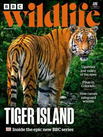 BBC Wildlife Magazine issue June 2026