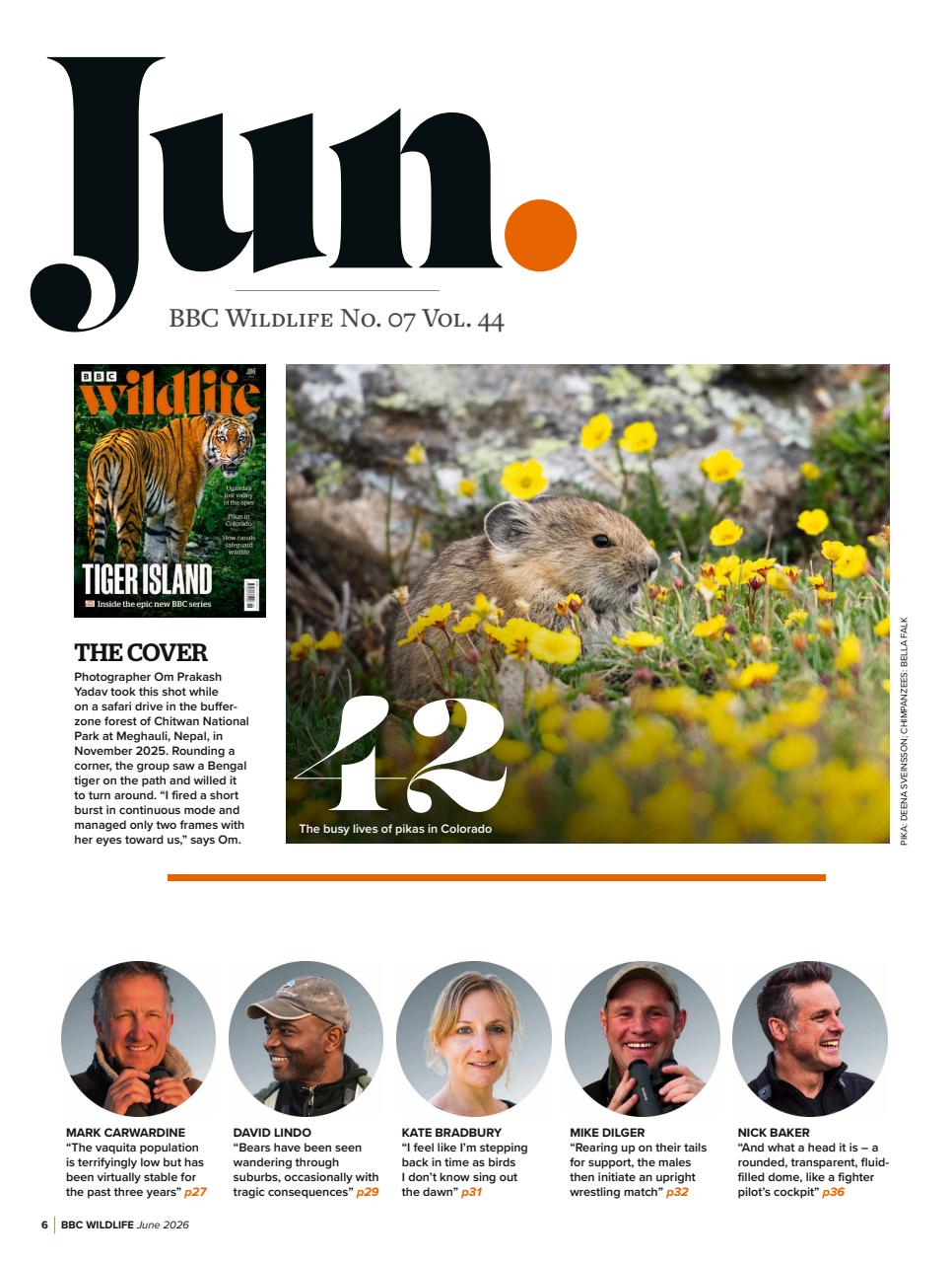 BBC Wildlife Magazine Preview Pages