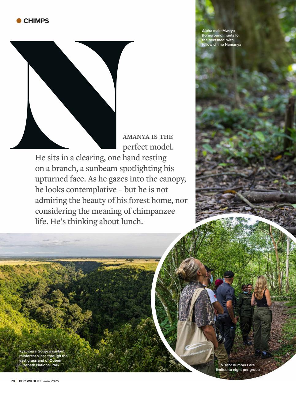 BBC Wildlife Magazine Preview Pages