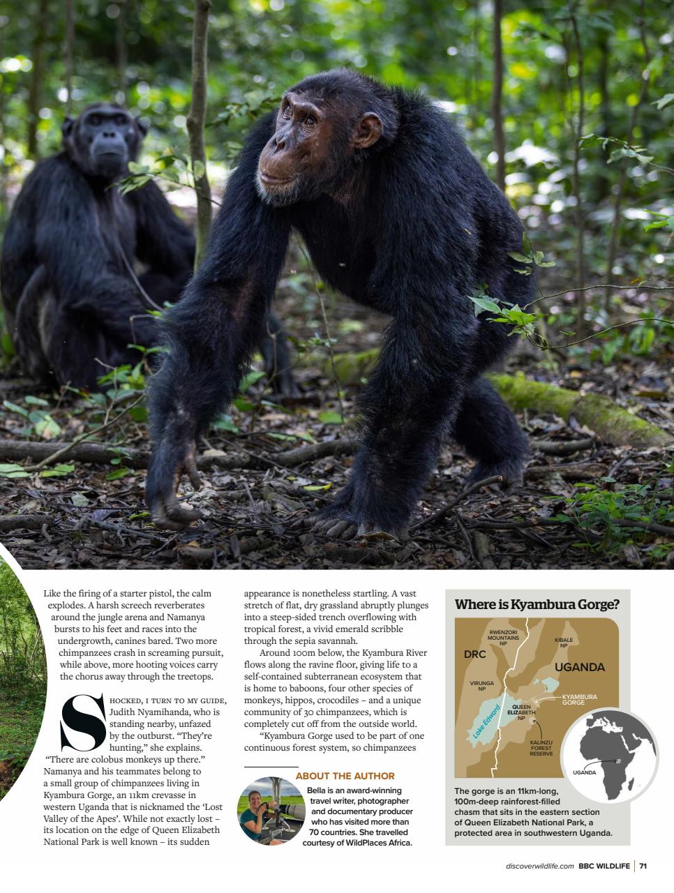 BBC Wildlife Magazine Preview Pages