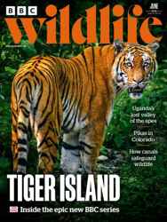 BBC Wildlife Magazine Complete Your Collection Cover 1