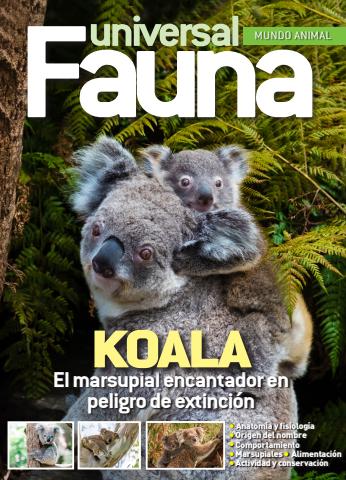 Fauna Universal issue Fasciculo 4 - 2026