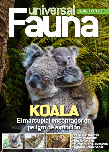 Fauna Universal issue 