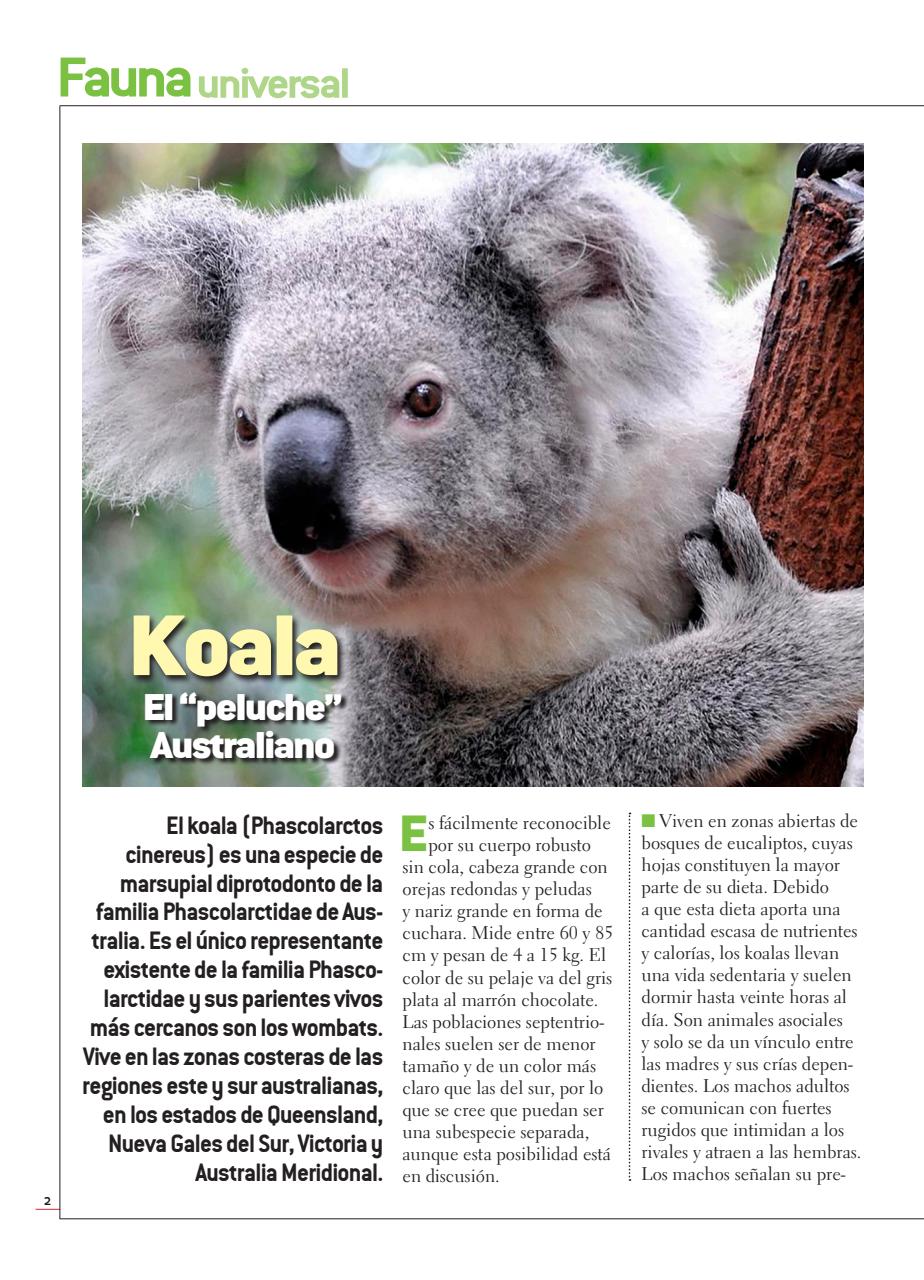 Fauna Universal Preview Pages