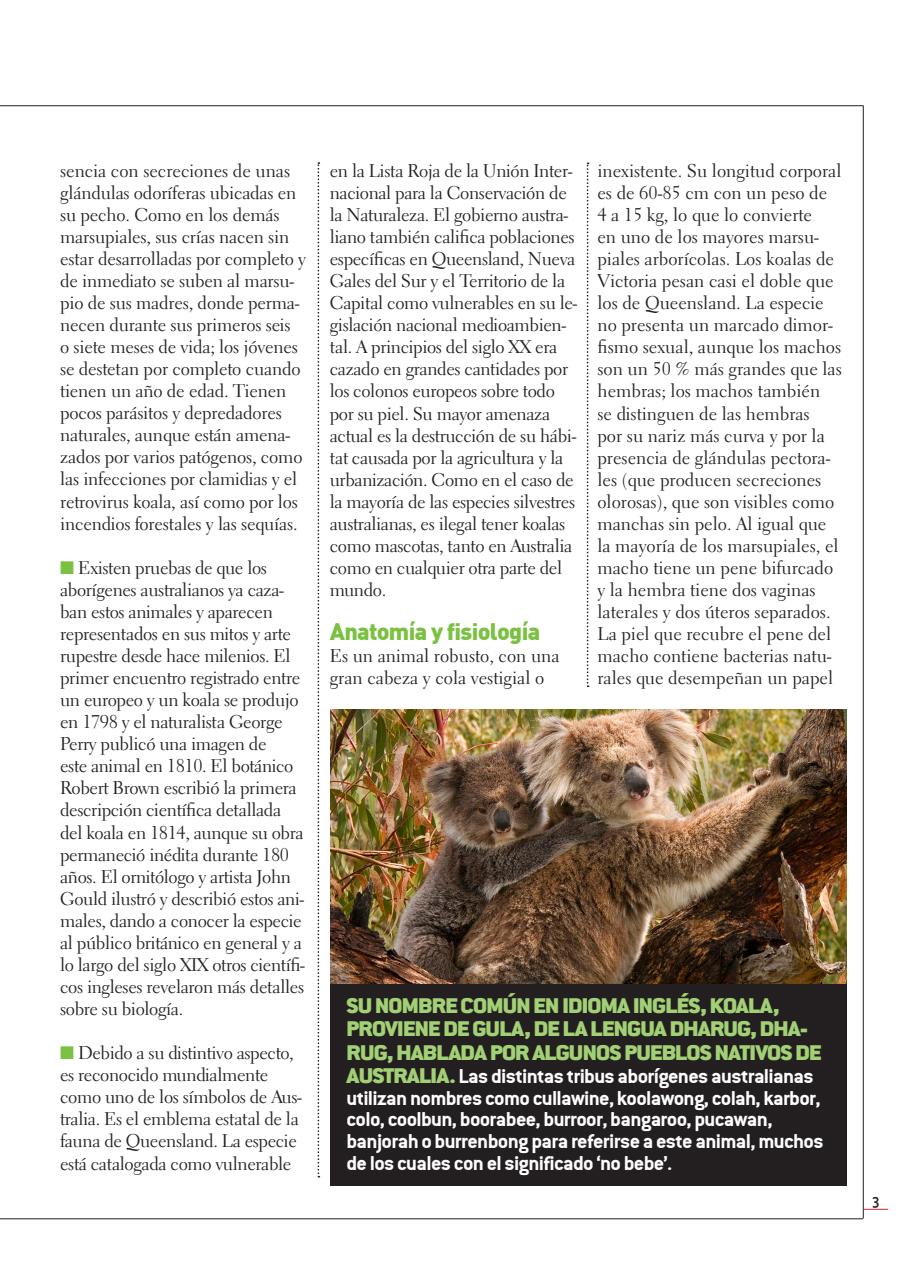 Fauna Universal Preview Pages