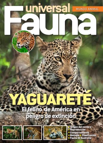 Fasciculo 3 - 2026 issue Fasciculo 3 - 2026