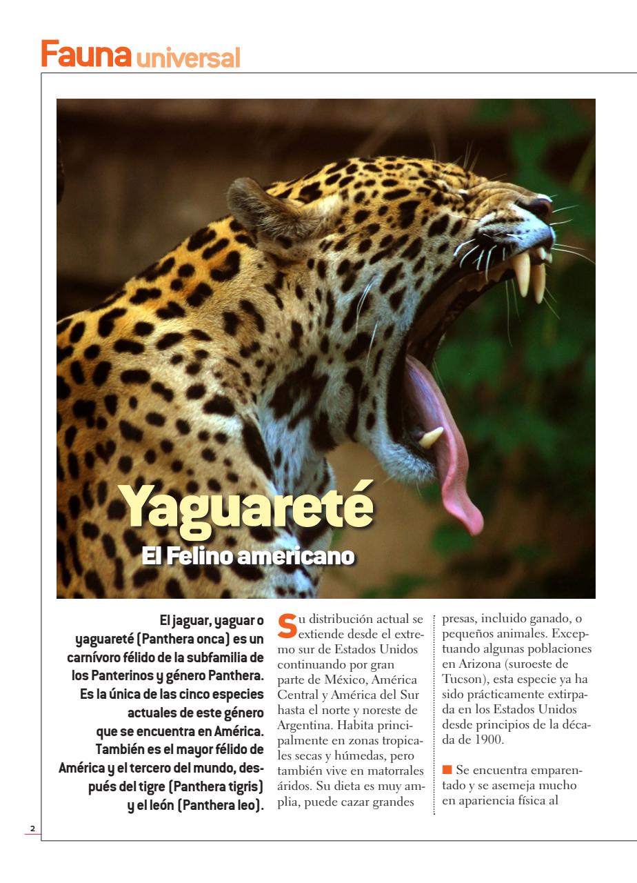 Fauna Universal Preview Pages