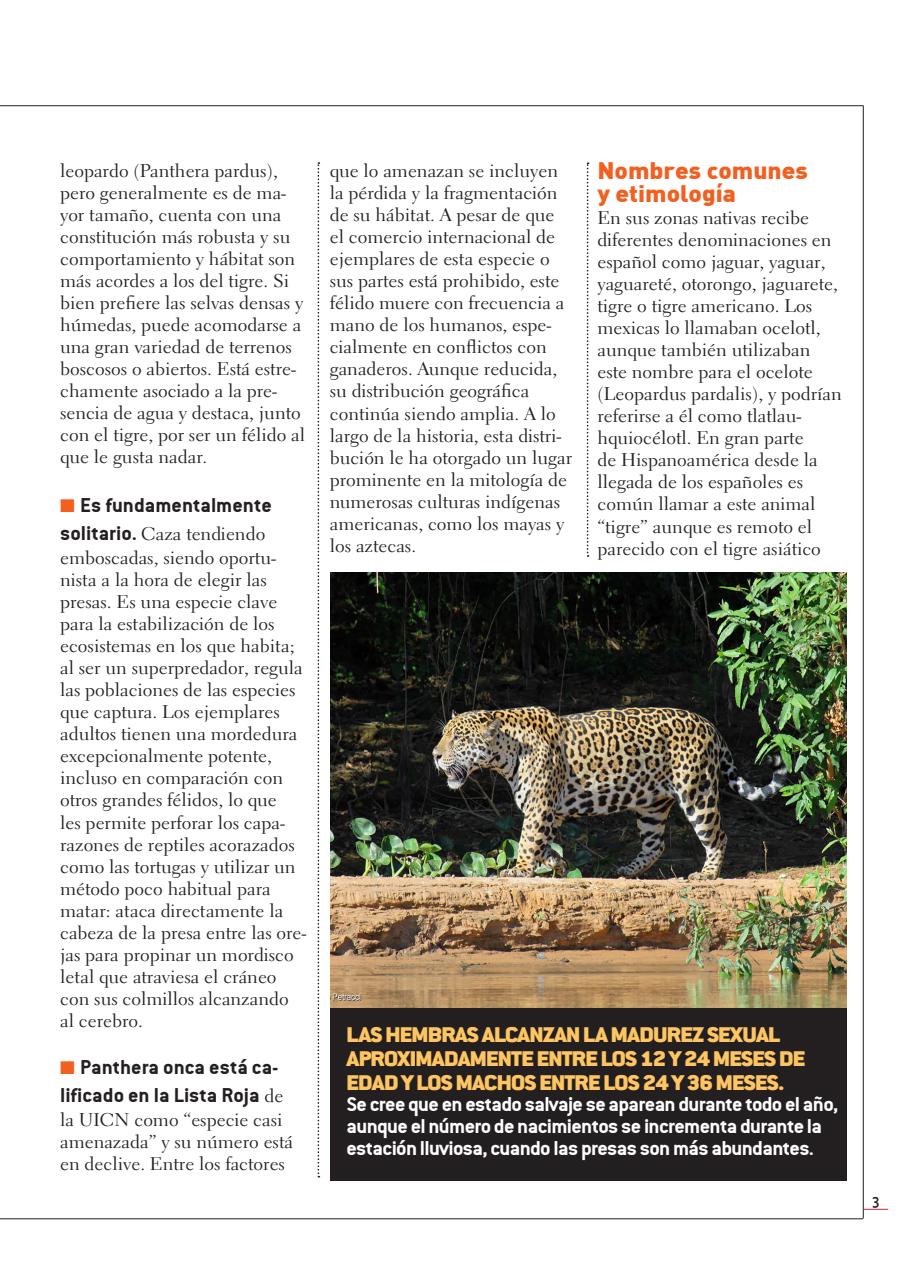 Fauna Universal Preview Pages