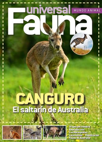 Fasciculo 2 - 2026 issue Fasciculo 2 - 2026