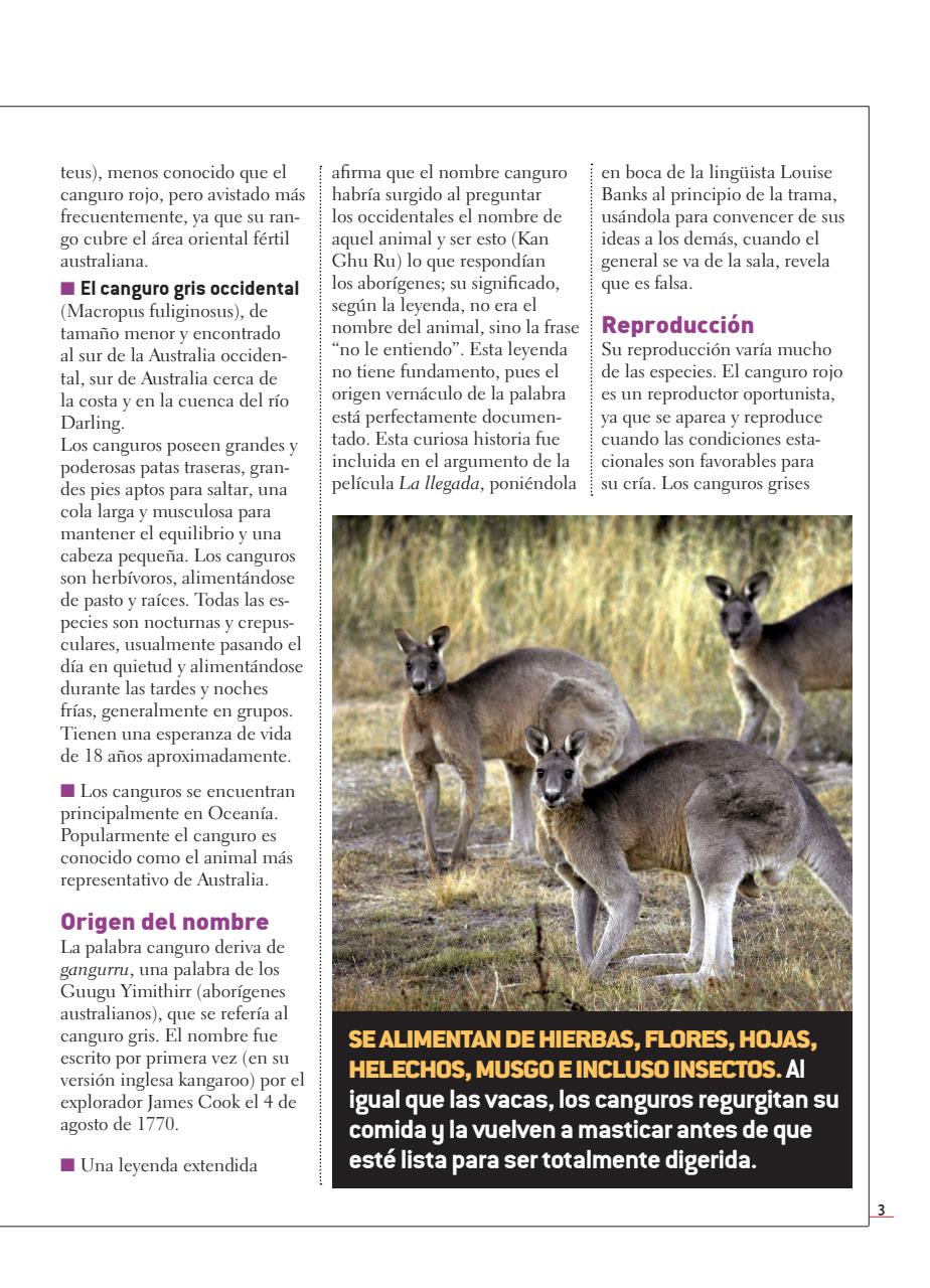 Fauna Universal Preview Pages