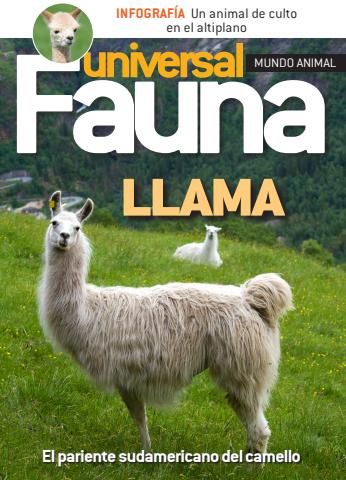 Fasciculo 1 - 2026 issue Fasciculo 1 - 2026