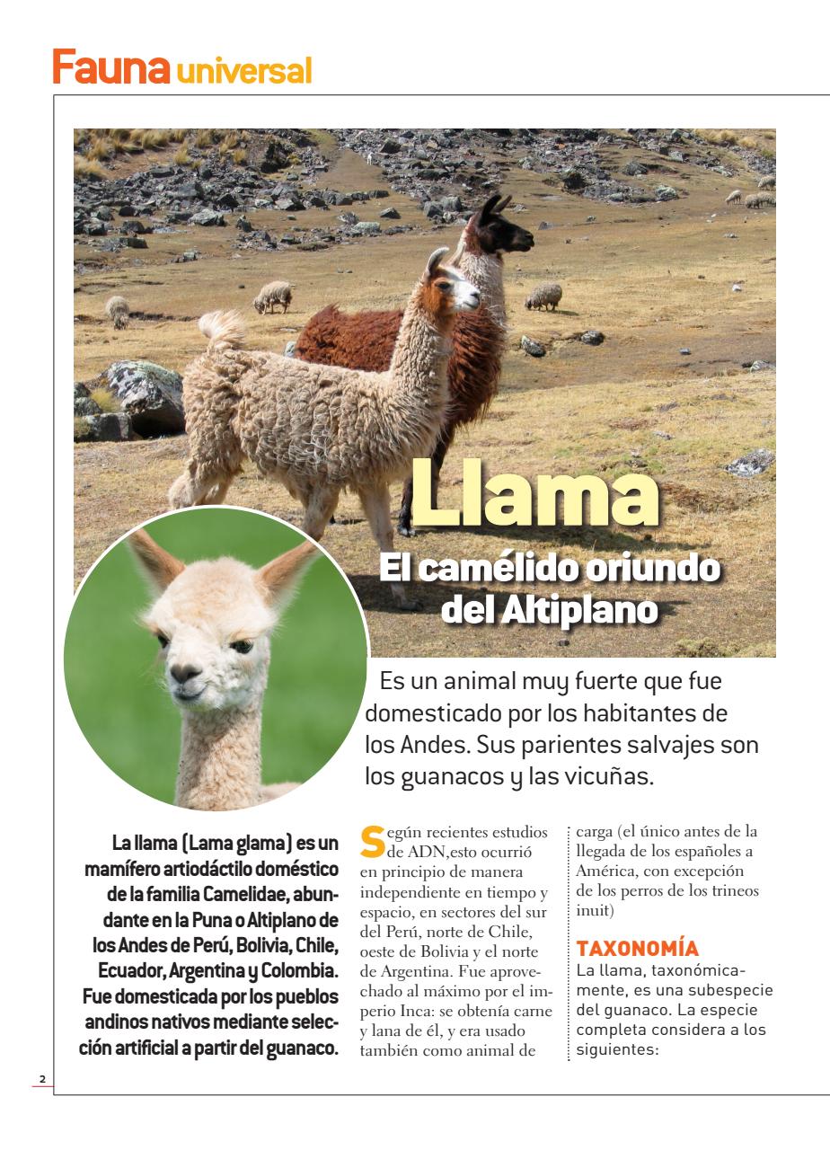Fauna Universal Preview Pages