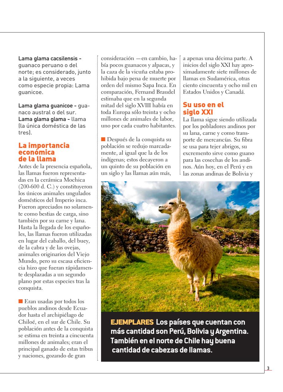 Fauna Universal Preview Pages