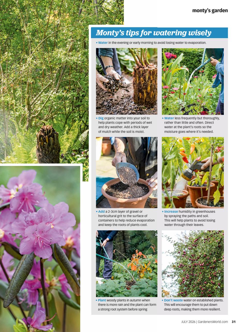 BBC Gardeners’ World Magazine Preview Pages