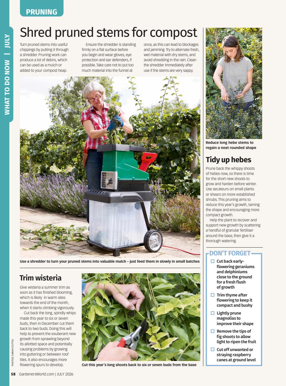 BBC Gardeners’ World Magazine Preview Pages