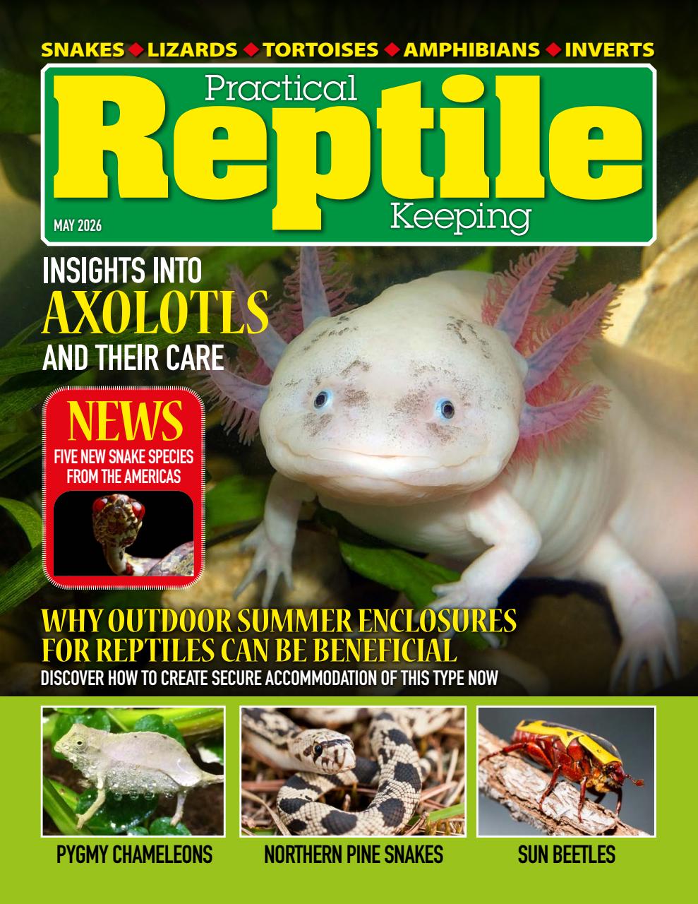 Practical Reptile Keeping Preview Pages