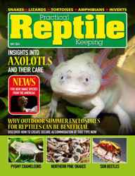 Practical Reptile Keeping Discounts