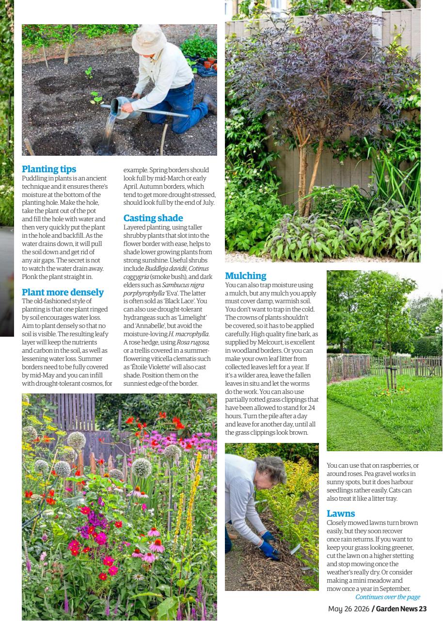 Garden News Preview Pages