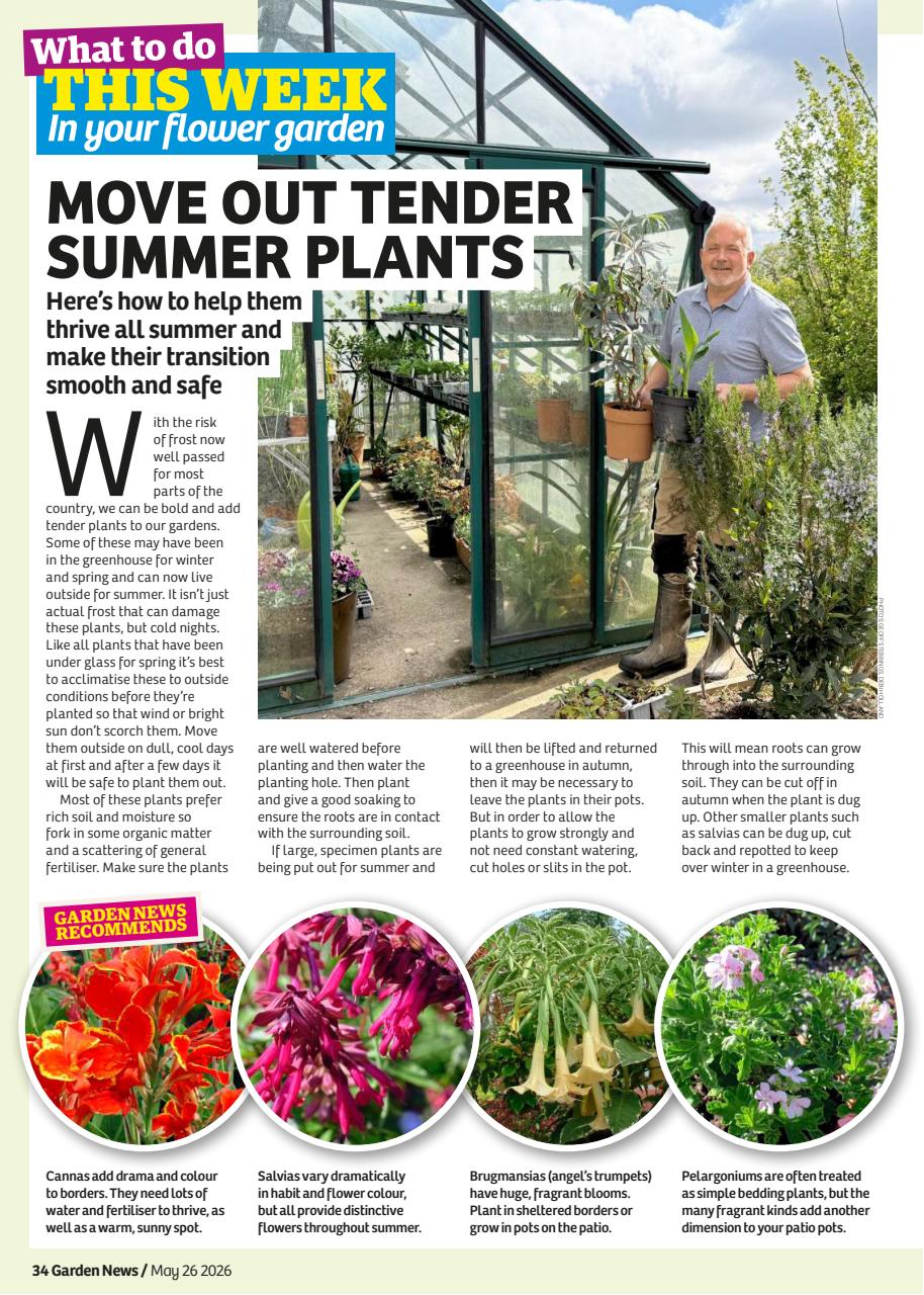 Garden News Preview Pages