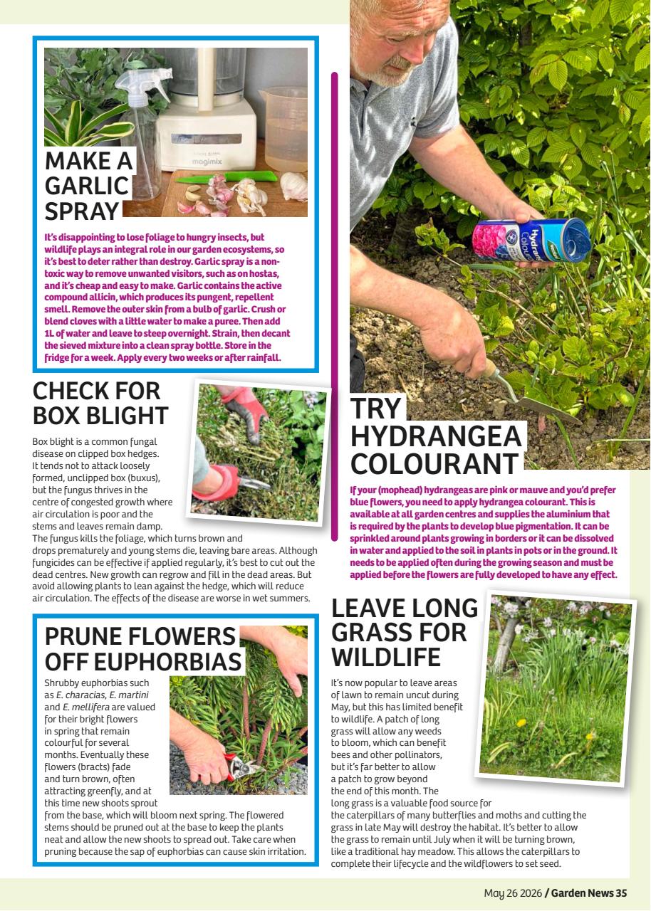 Garden News Preview Pages