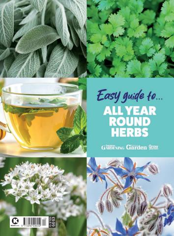 Amateur Gardening issue Easy Guides to #13