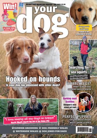 Your Dog issue Your Dog - July 2026